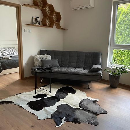 Hexagon Apartman 塞格德 外观 照片